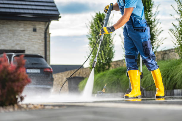 Best Residential Pressure Washing Services  in Elephant Butte, NM